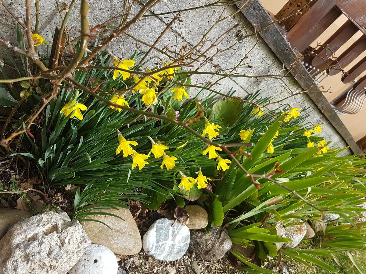 Le Chalet Del Pollino 罗通达 外观 照片