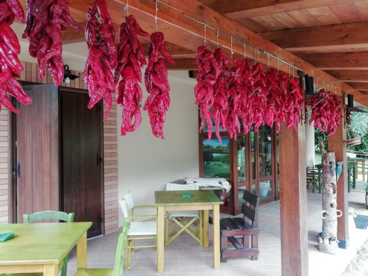 Le Chalet Del Pollino 罗通达 外观 照片